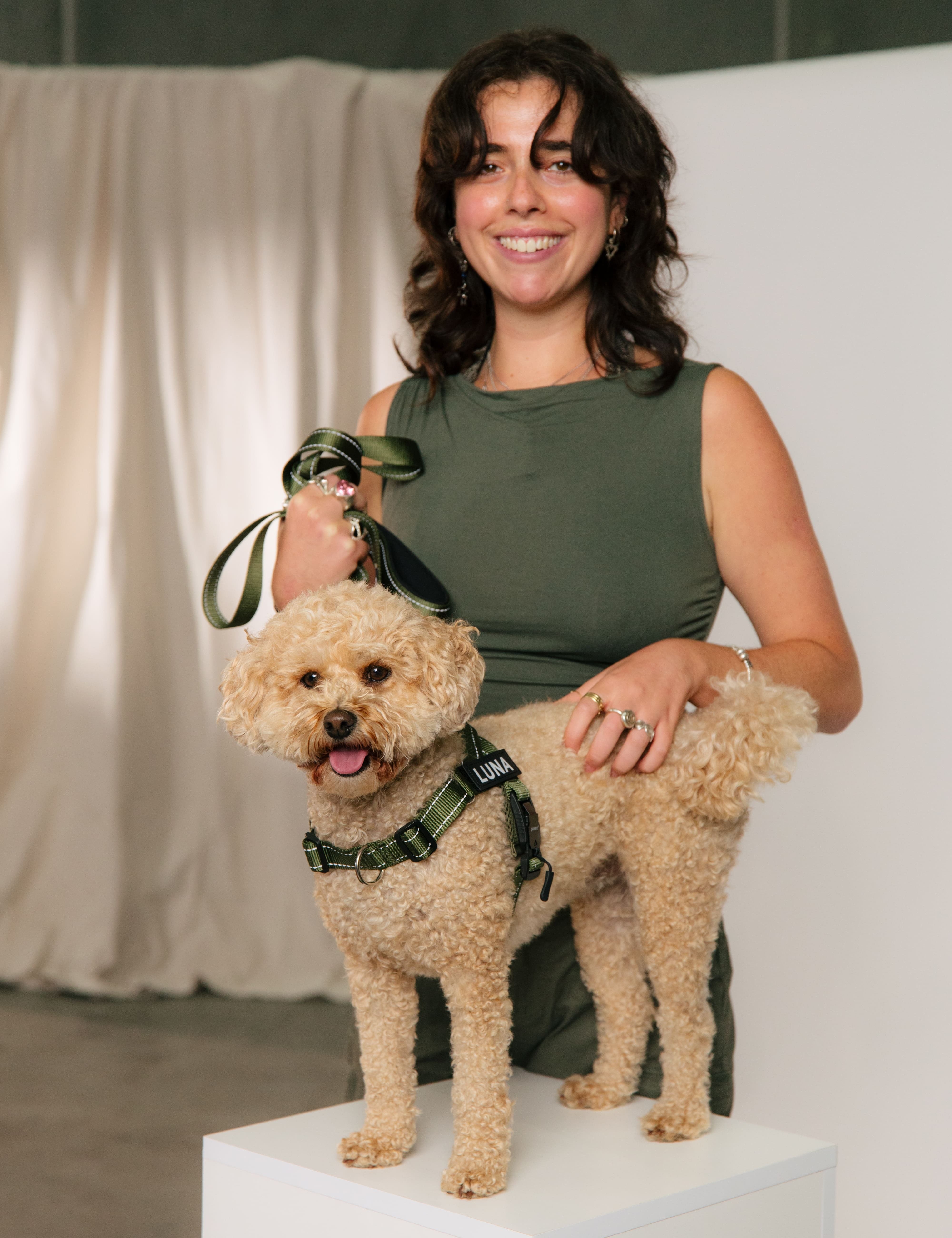 The Good Things About Using a Dog Harness with Metal Buckle Closure