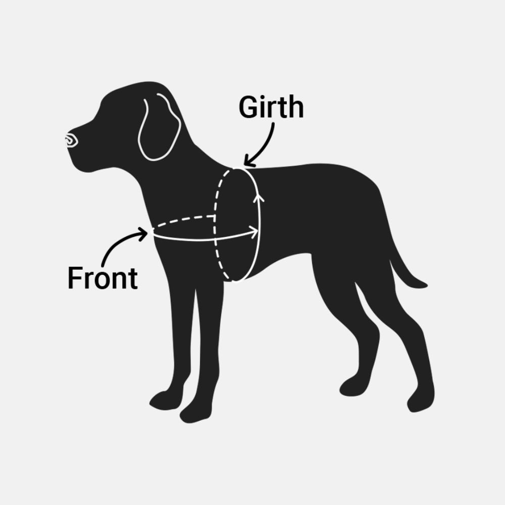 A Complete Dog Harness Sizing Guide: How to Get the Right Fit for Your Pup