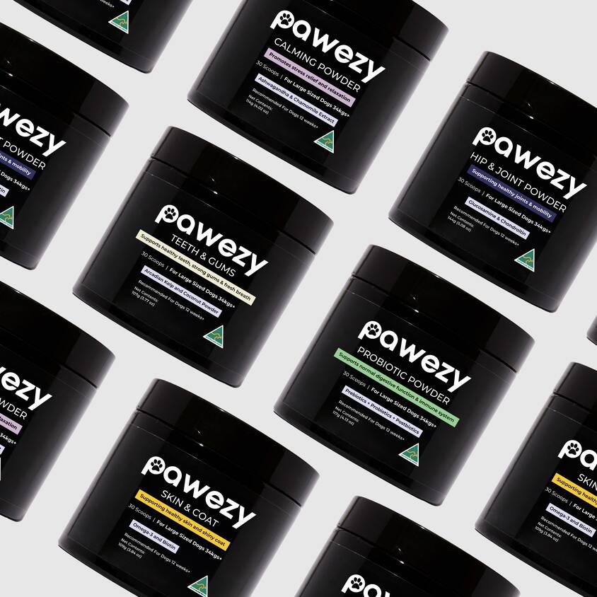 How to Choose the Right Dog Supplement for Your Pup’s Unique Needs