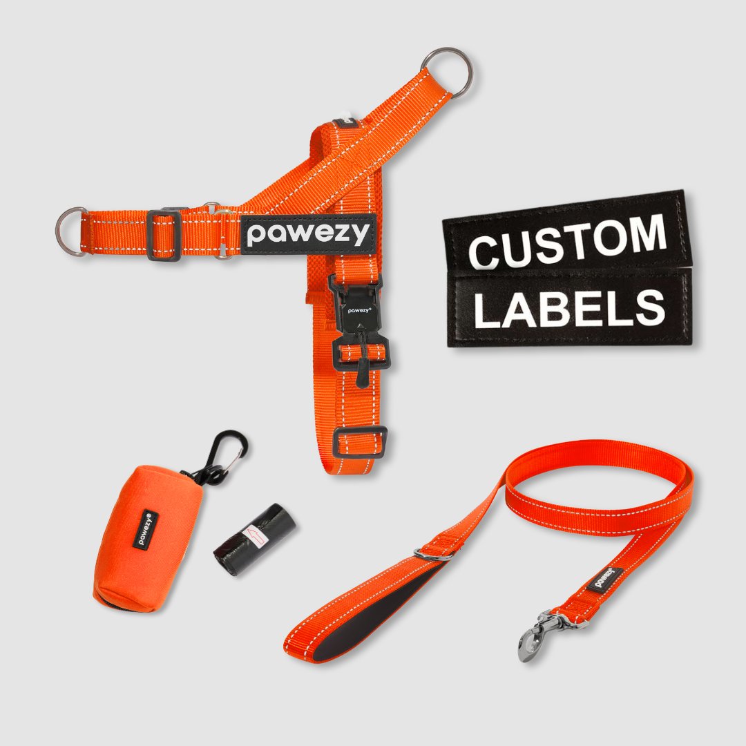 EasyFit No-Pull Kit