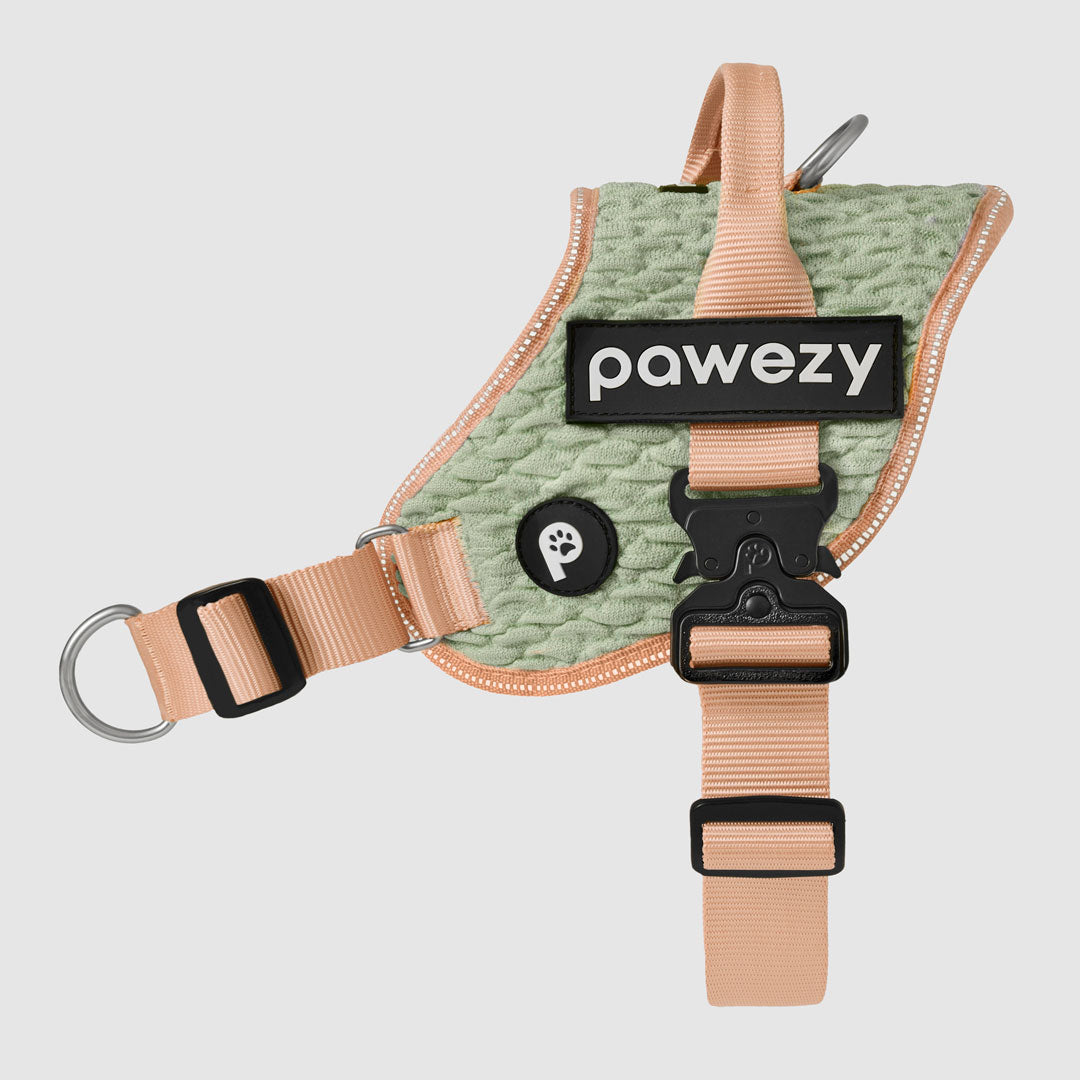 Flex No-Pull Harness