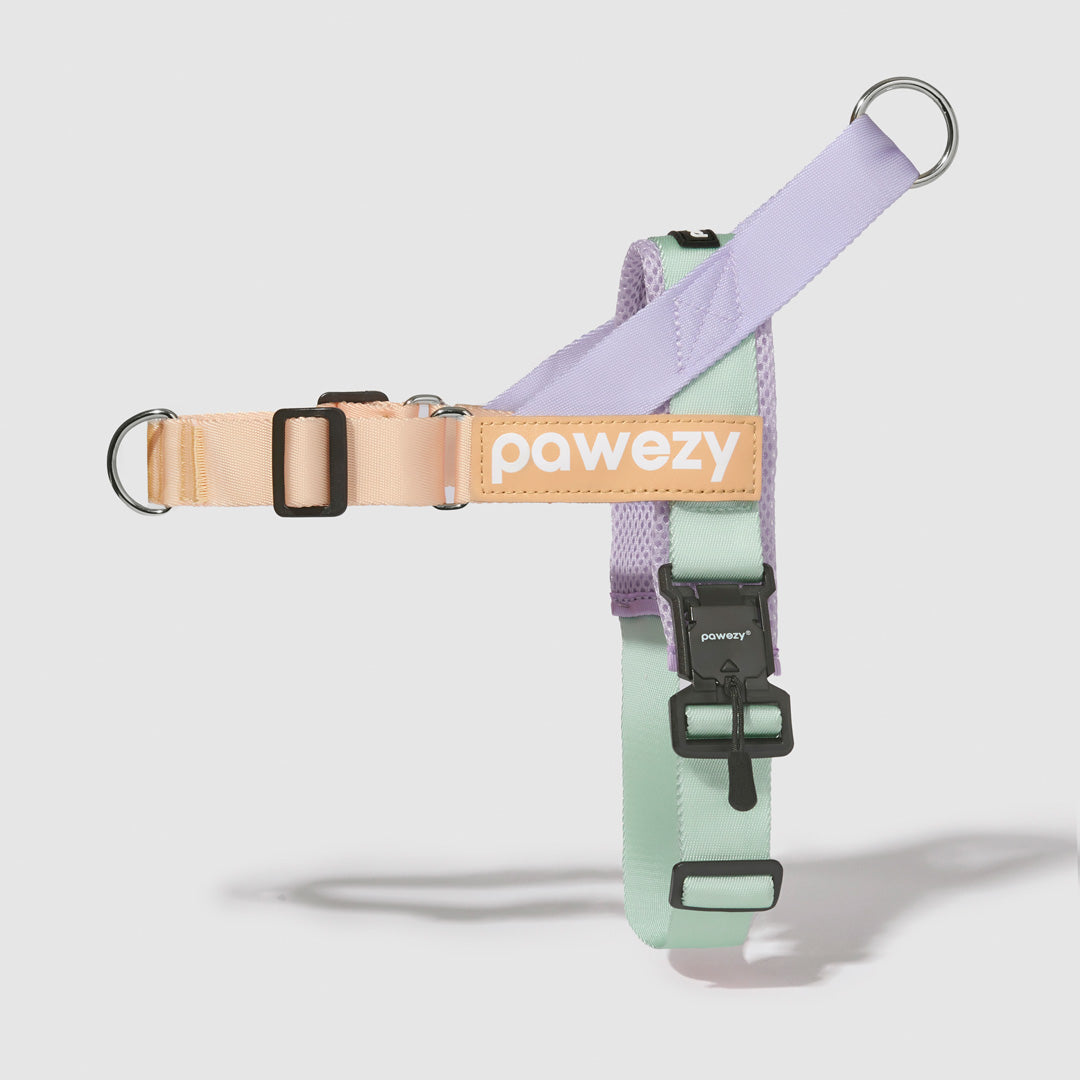 EasyFit Air No-Pull Kit