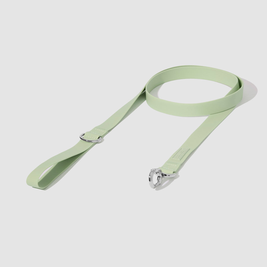 Swim Leash