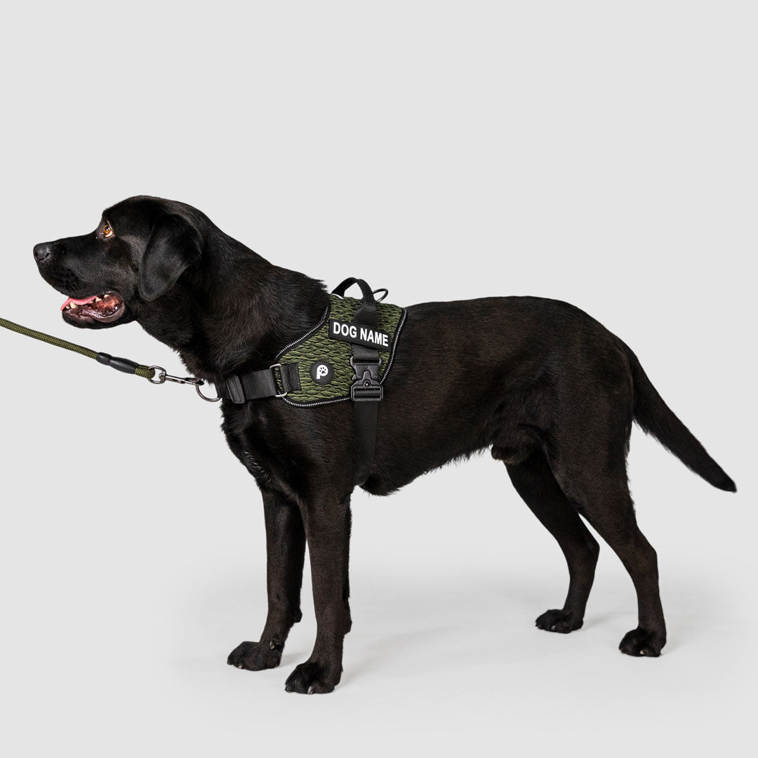 EasyFit Flex No-Pull Harness
