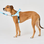 EasyFit Air No-Pull Harness