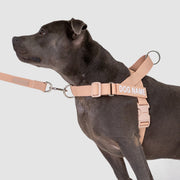 EasyFit Swim No-Pull Harness