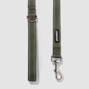 Reflective Leash