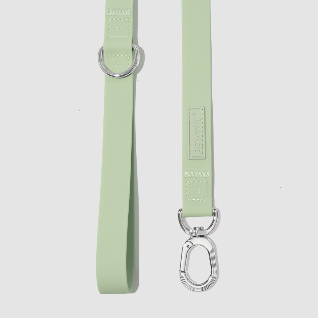 Swim Leash