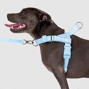 EasyFit Swim No-Pull Harness