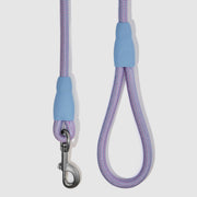 Flex Rope Leash