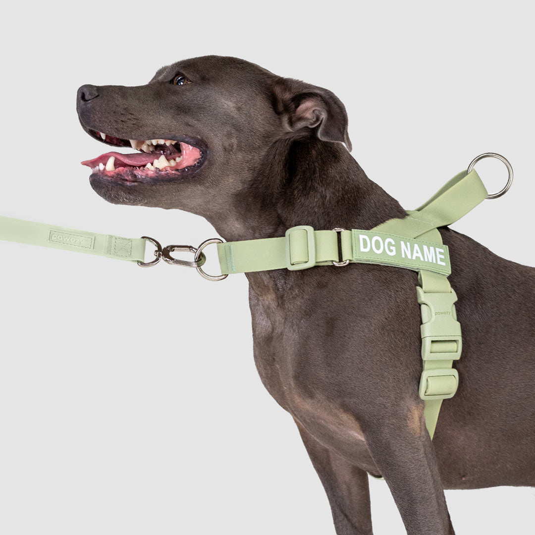 EasyFit Swim No-Pull Harness