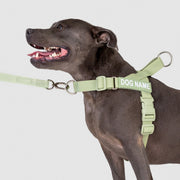 EasyFit Swim No-Pull Harness