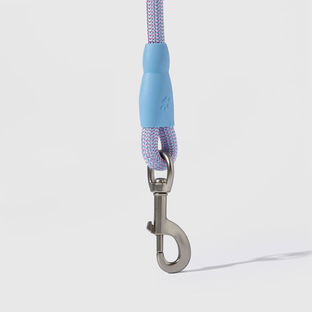 Flex Rope Leash