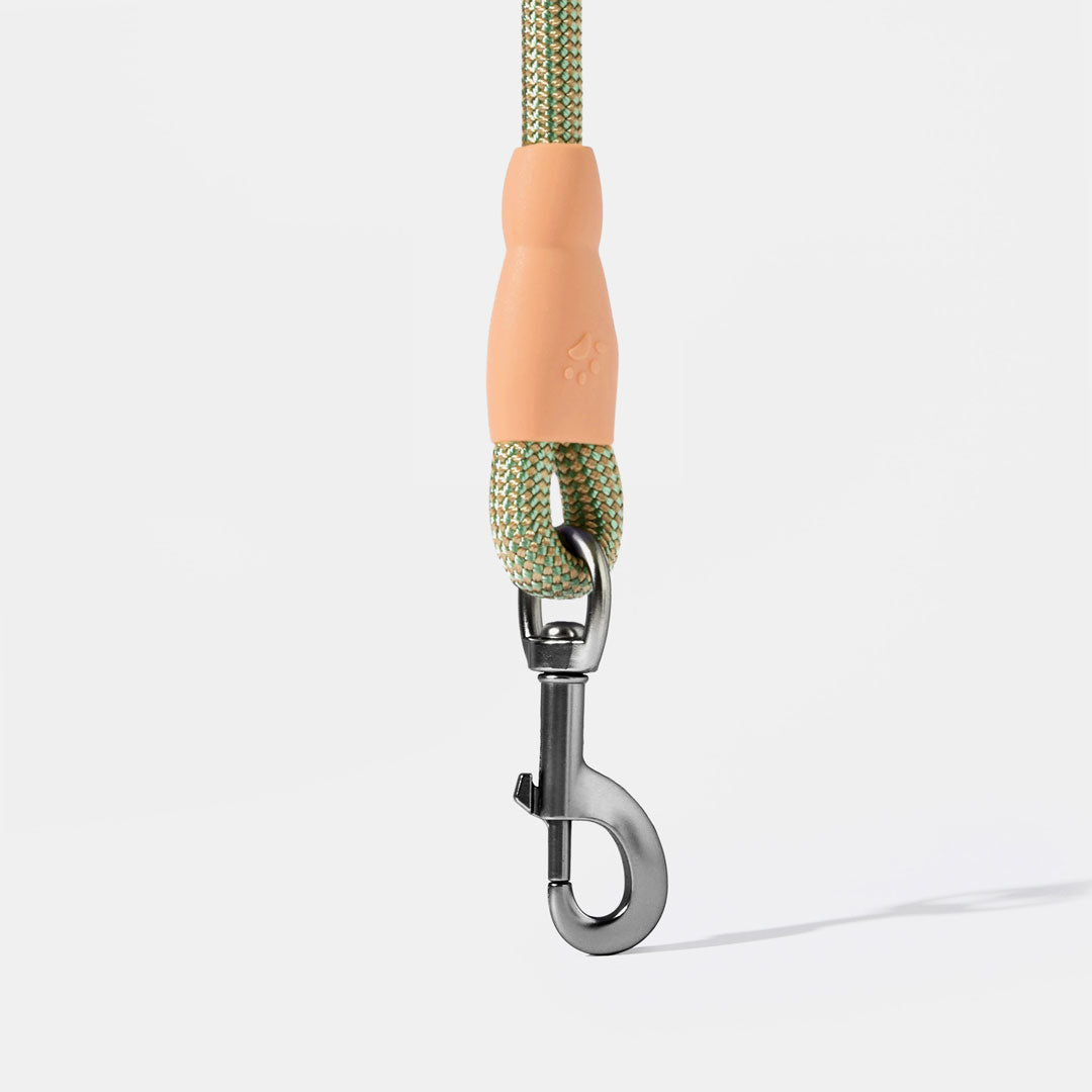 Flex Rope Leash