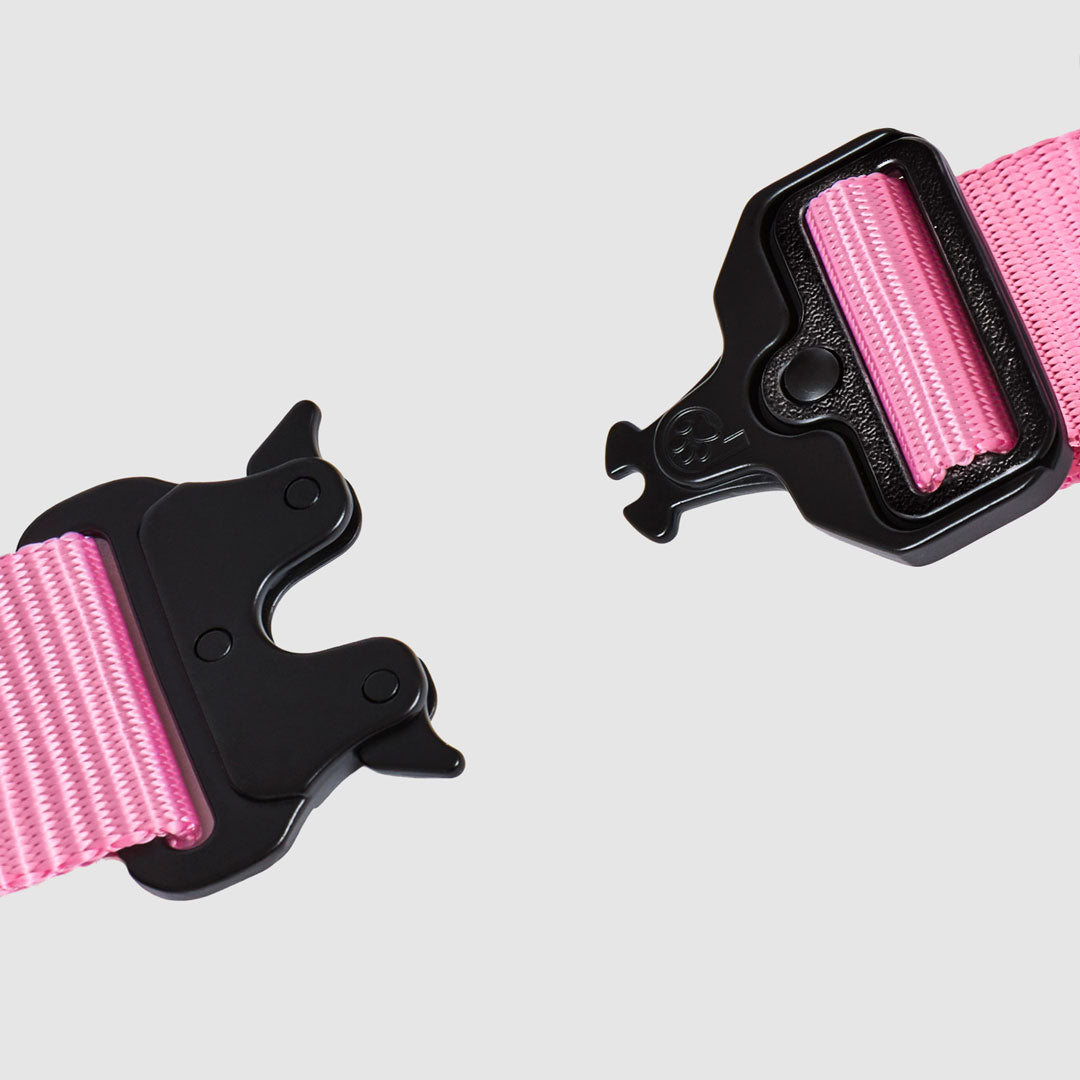 Flex No-Pull Harness
