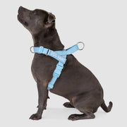 EasyFit Swim No-Pull Harness