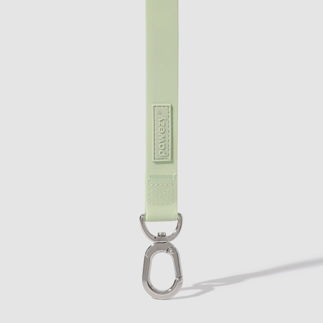 Swim Leash