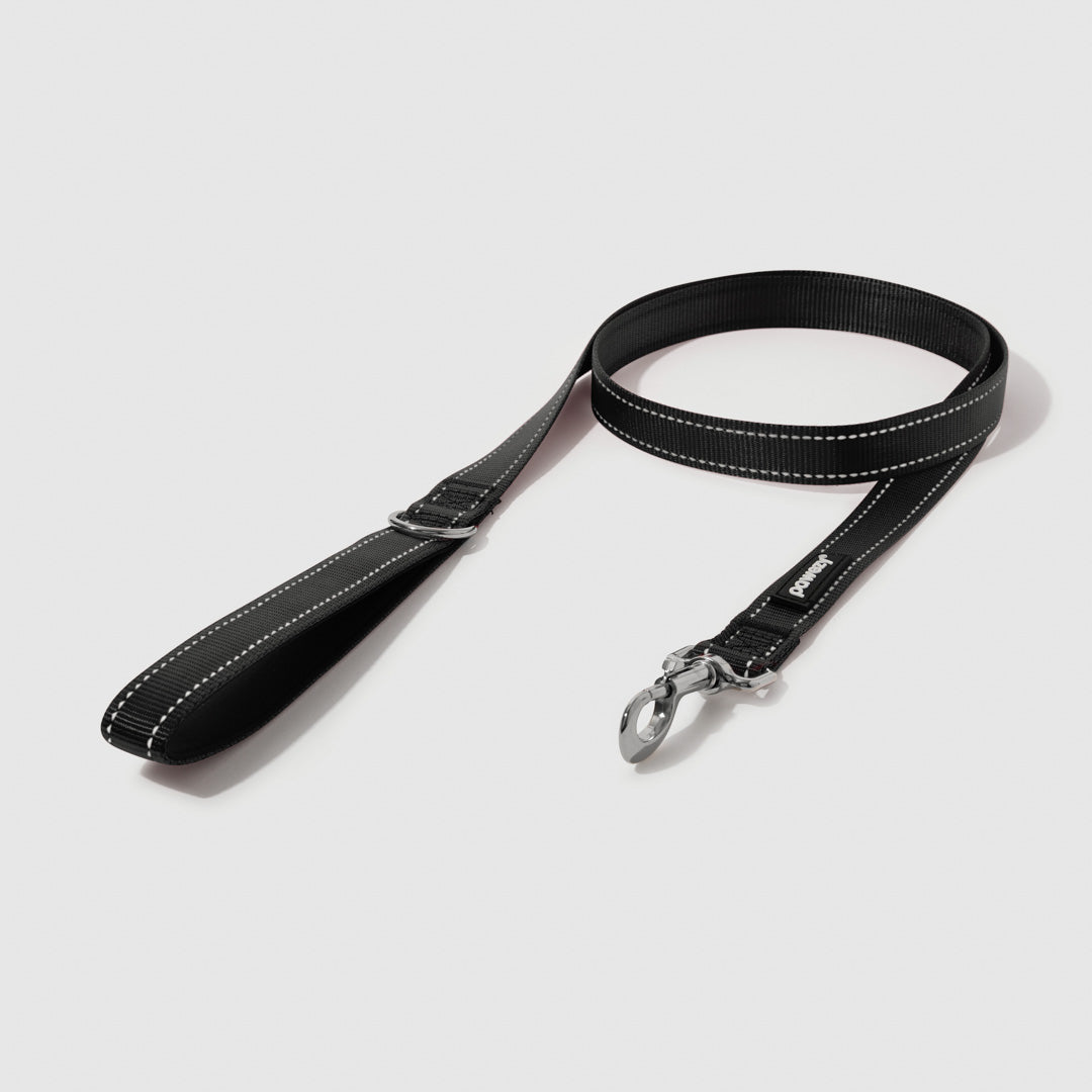 Reflective Leash