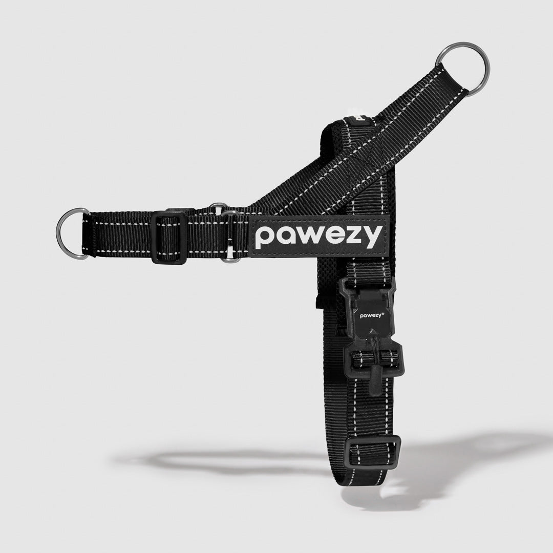 EasyFit No-Pull Harness