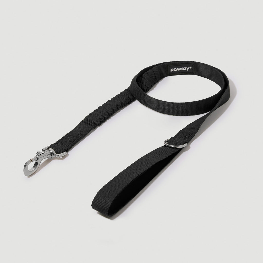 Shock Absorbing Leash