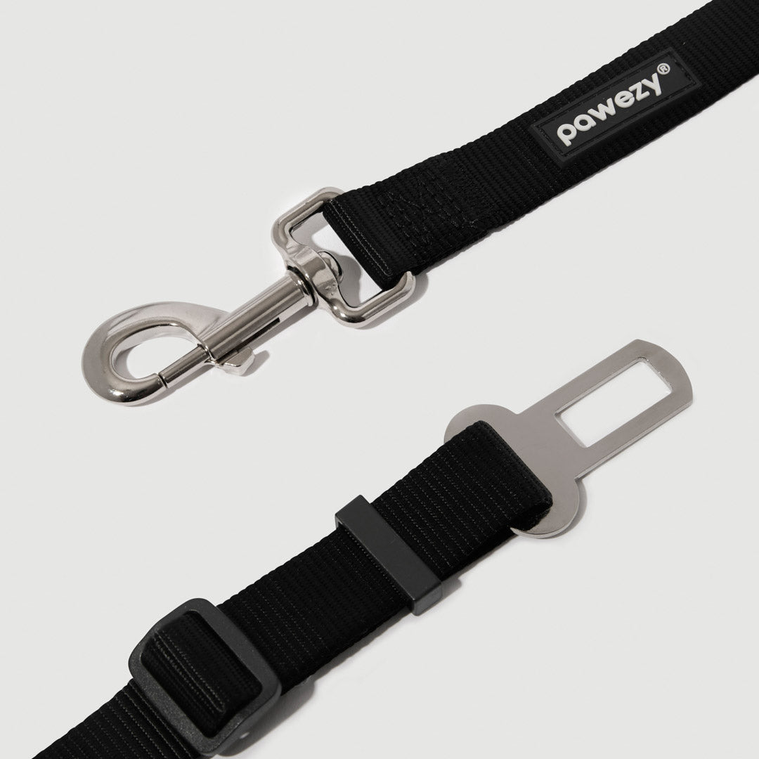 Safety Seat Belt