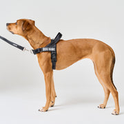 EasyFit No-Pull Harness