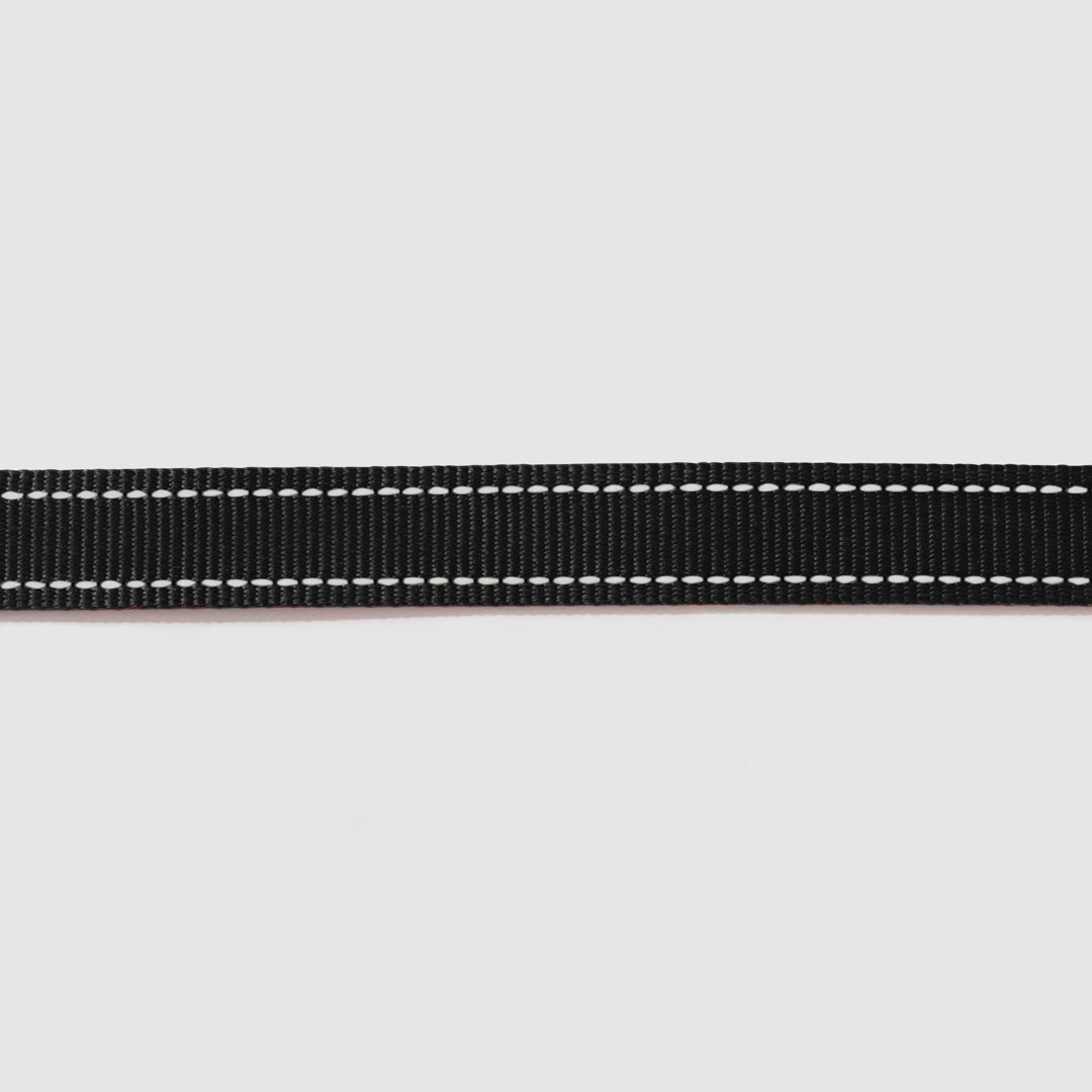 Reflective Leash