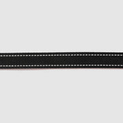 Reflective Leash