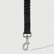 Shock Absorbing Leash
