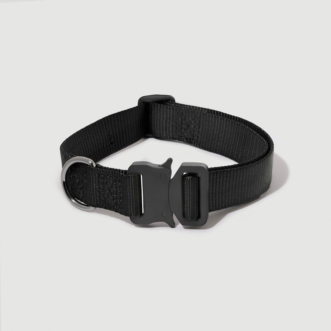 EasyFit Elite Collar