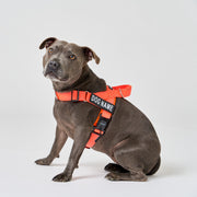 EasyFit No-Pull Harness
