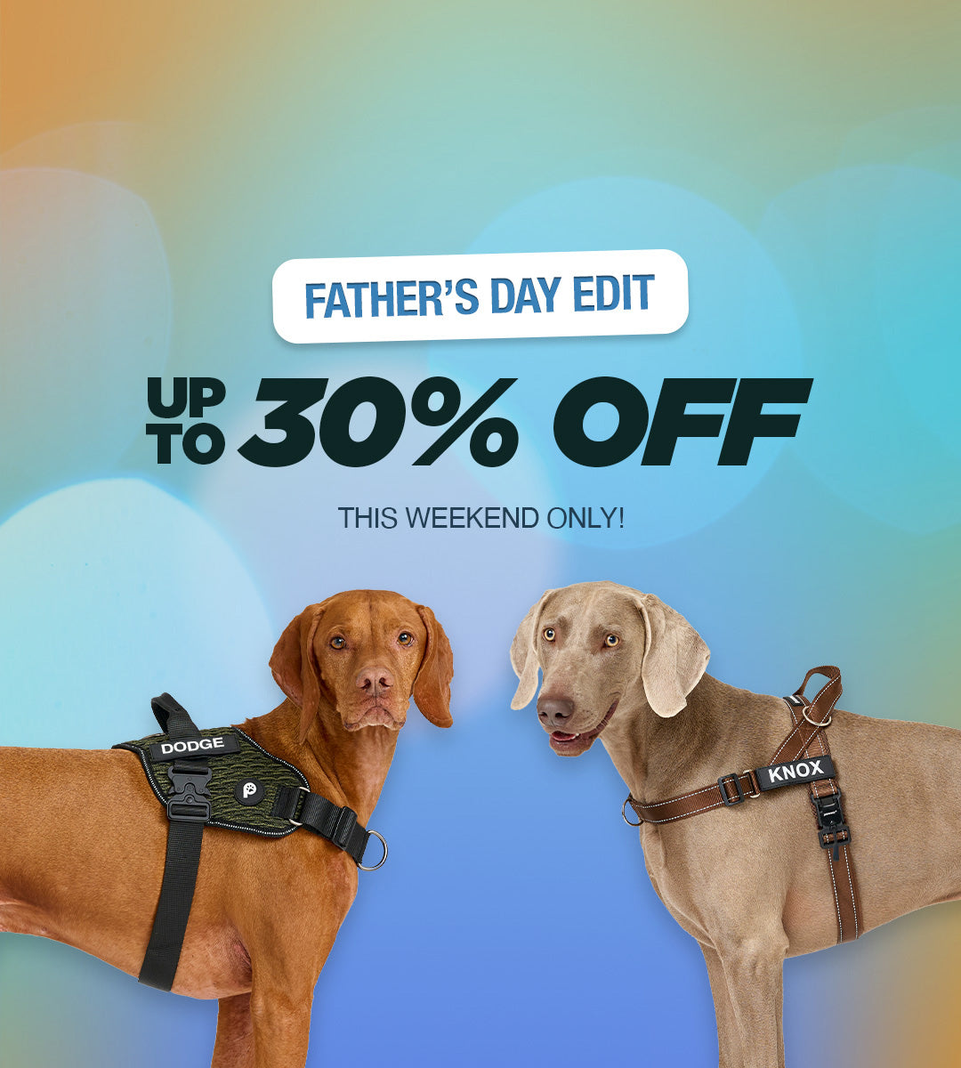 Fathers-Day-Mobile-Banner-v2.jpg