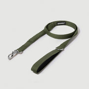Shock Absorbing Leash