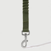 Shock Absorbing Leash