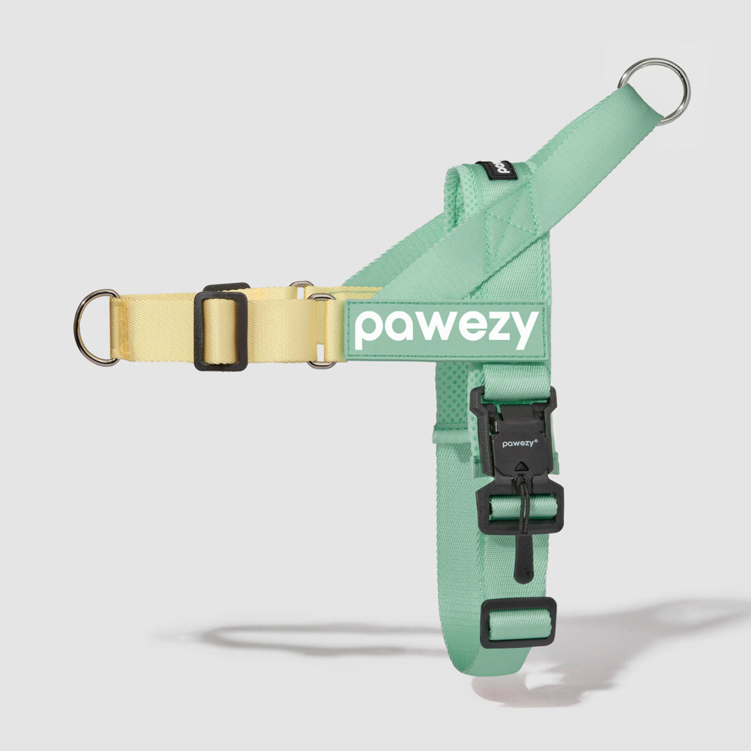 EasyFit Air No-Pull Kit