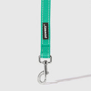 Reflective Leash