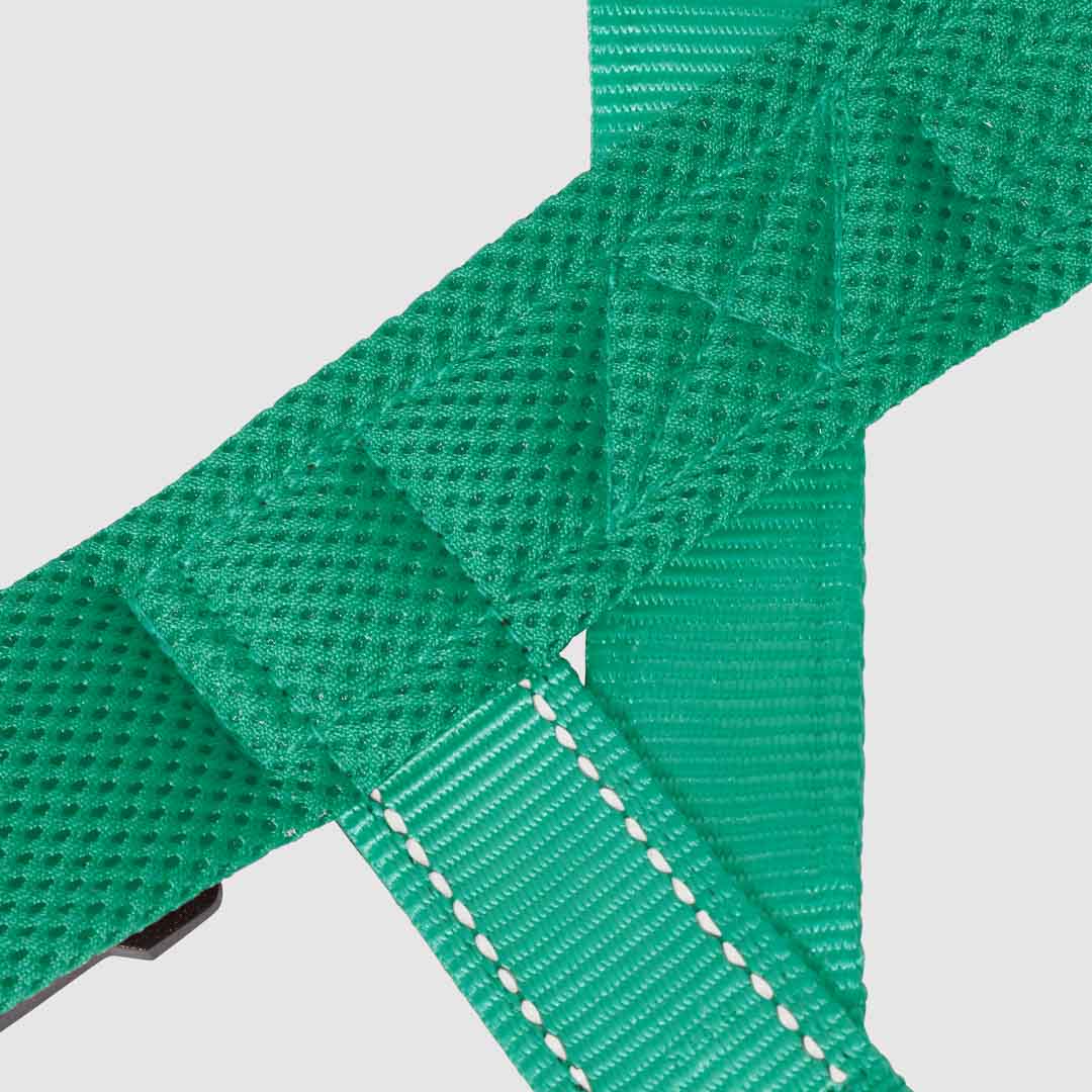 EasyFit No-Pull Harness