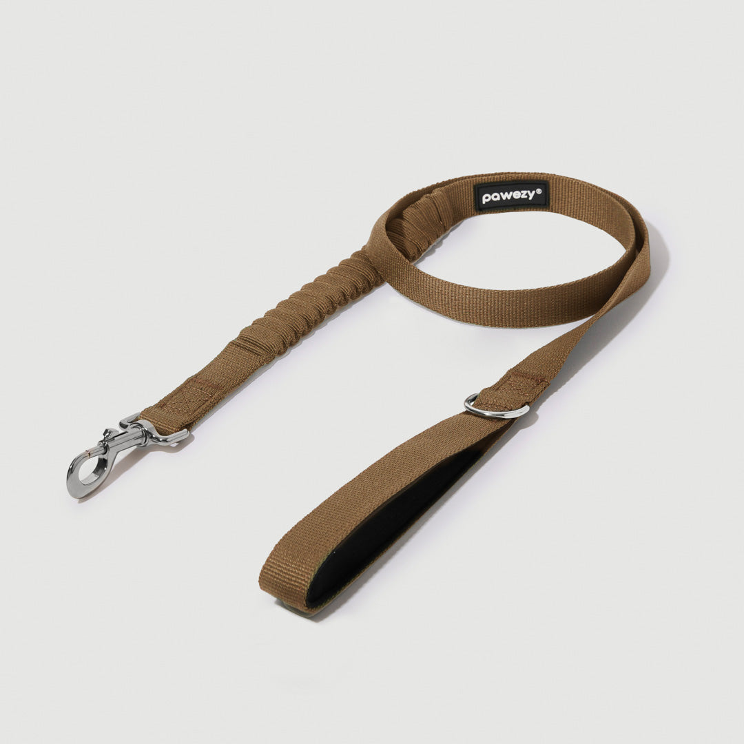 Shock Absorbing Leash