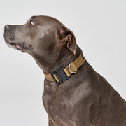 EasyFit Elite Collar
