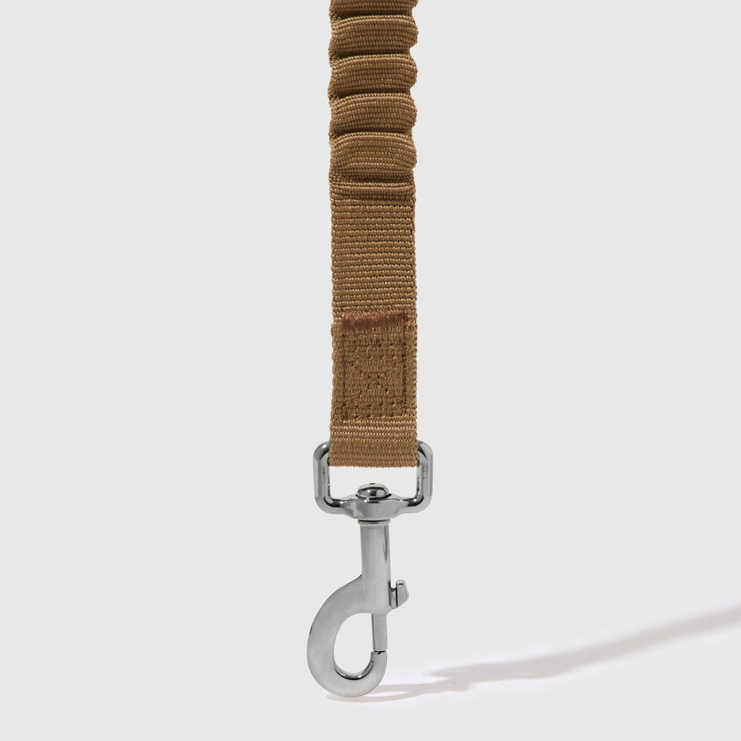 Shock Absorbing Leash