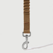 Shock Absorbing Leash