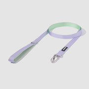 Dual-Tone Leash