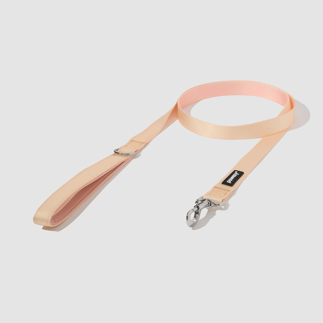 EasyFit Air No-Pull Kit