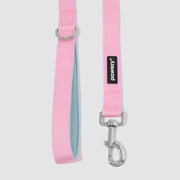 Dual-Tone Leash