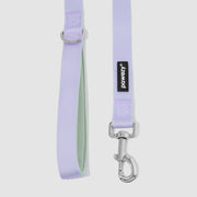 Dual-Tone Leash