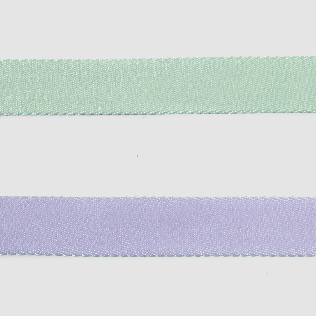 Dual-Tone Leash