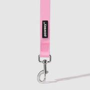 Dual-Tone Leash