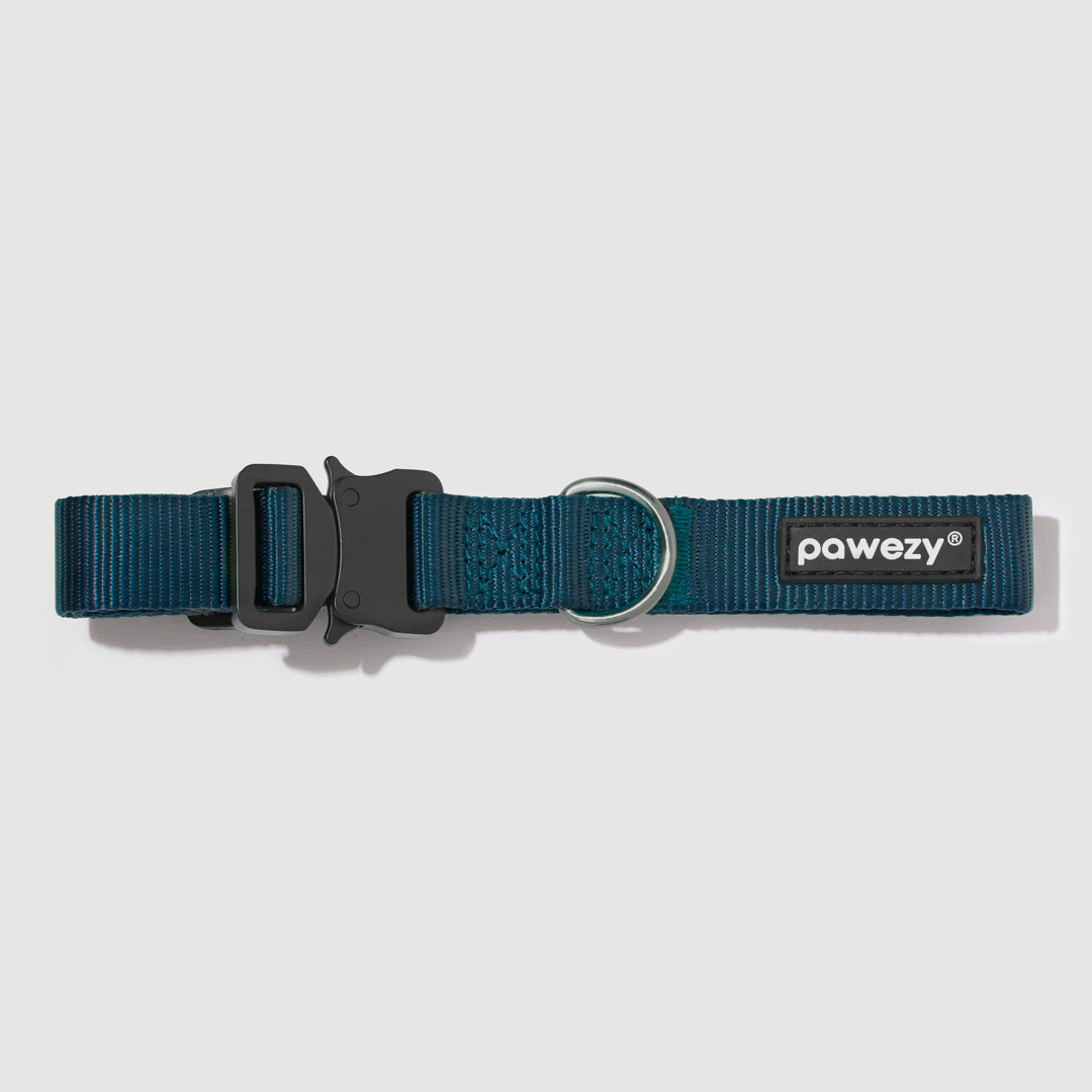 EasyFit Elite Collar