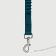 Shock Absorbing Leash