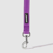 Reflective Leash